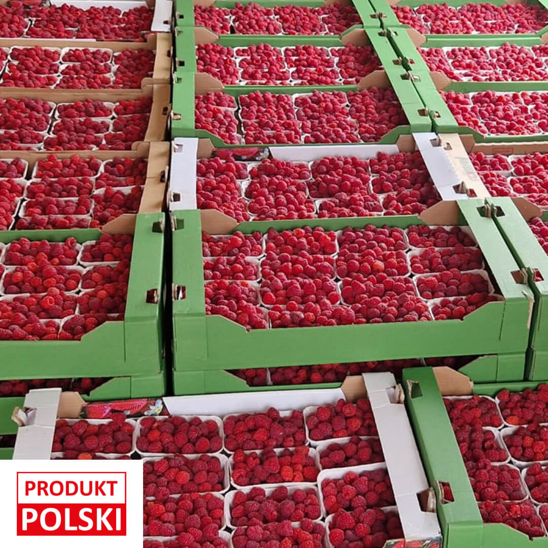 Maliny polskie - paczka 4kg. 49,00 zl/kg