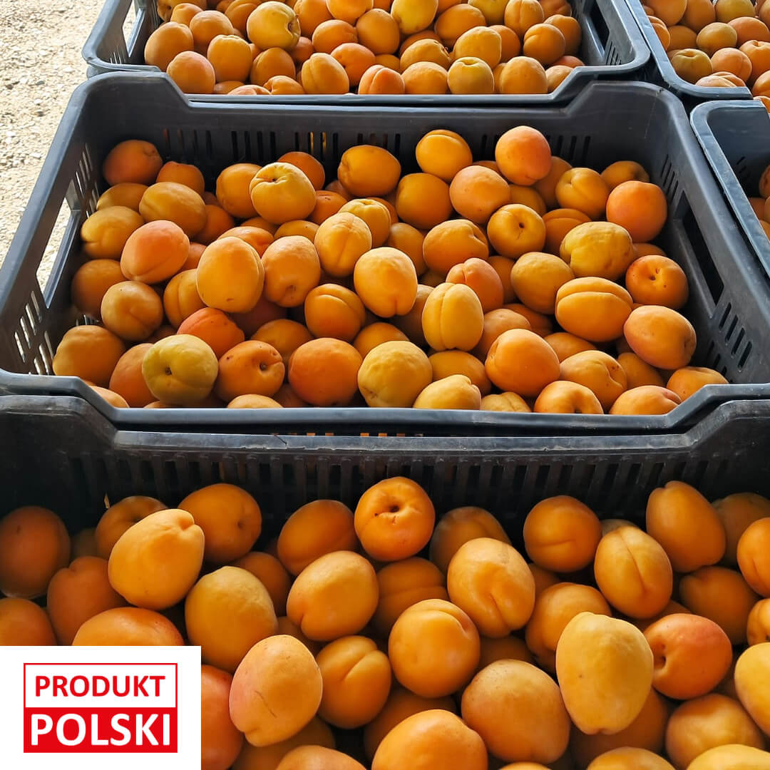 Morele - paczka 18kg. 9,90 zl/kg