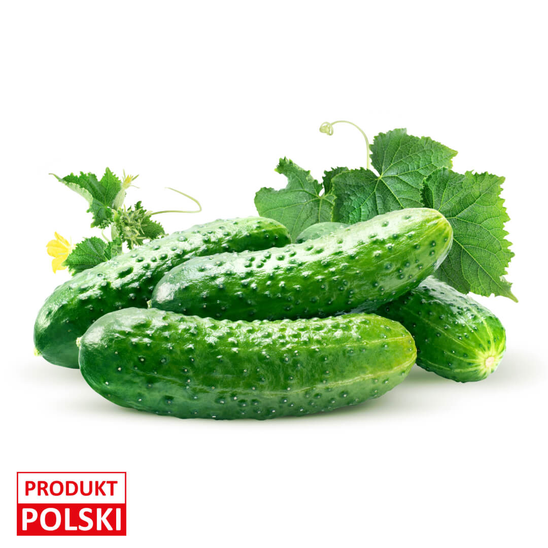 Ogorek gruntowy. 12,90 zl/kg