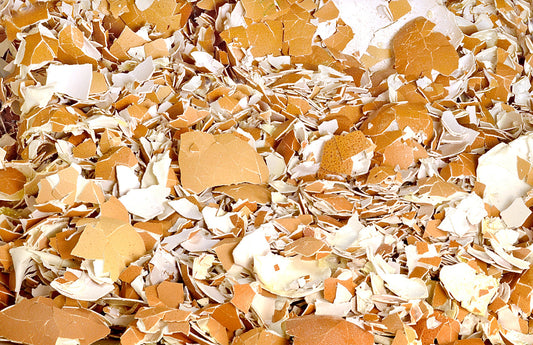 Skorupki jaj: Daj im drugie życie zamiast wyrzucać