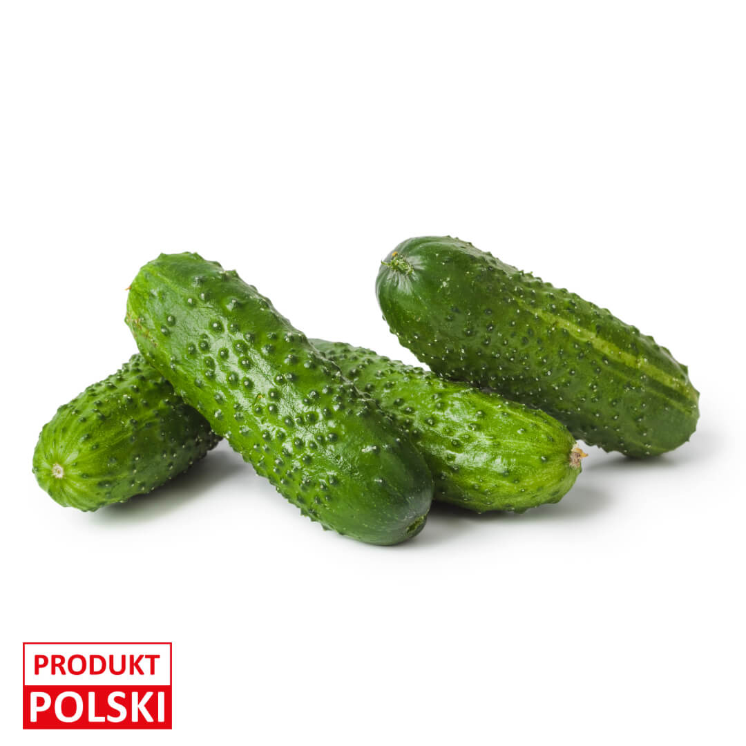 Ogorek gruntowy - na sztuki. 1,20 zl/szt.