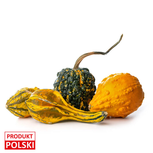 Dynia ozdobna. 4,20 zl/szt.