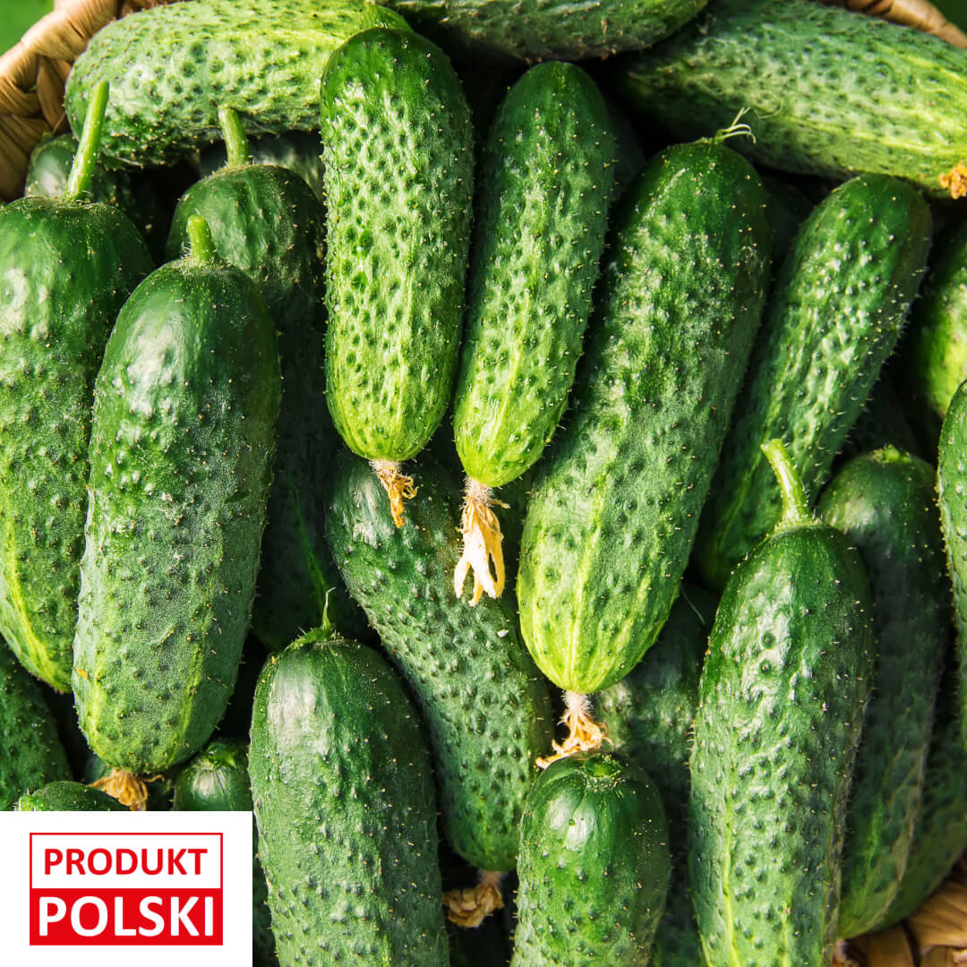 Ogorek gruntowy - worek. 7,90 zl/kg