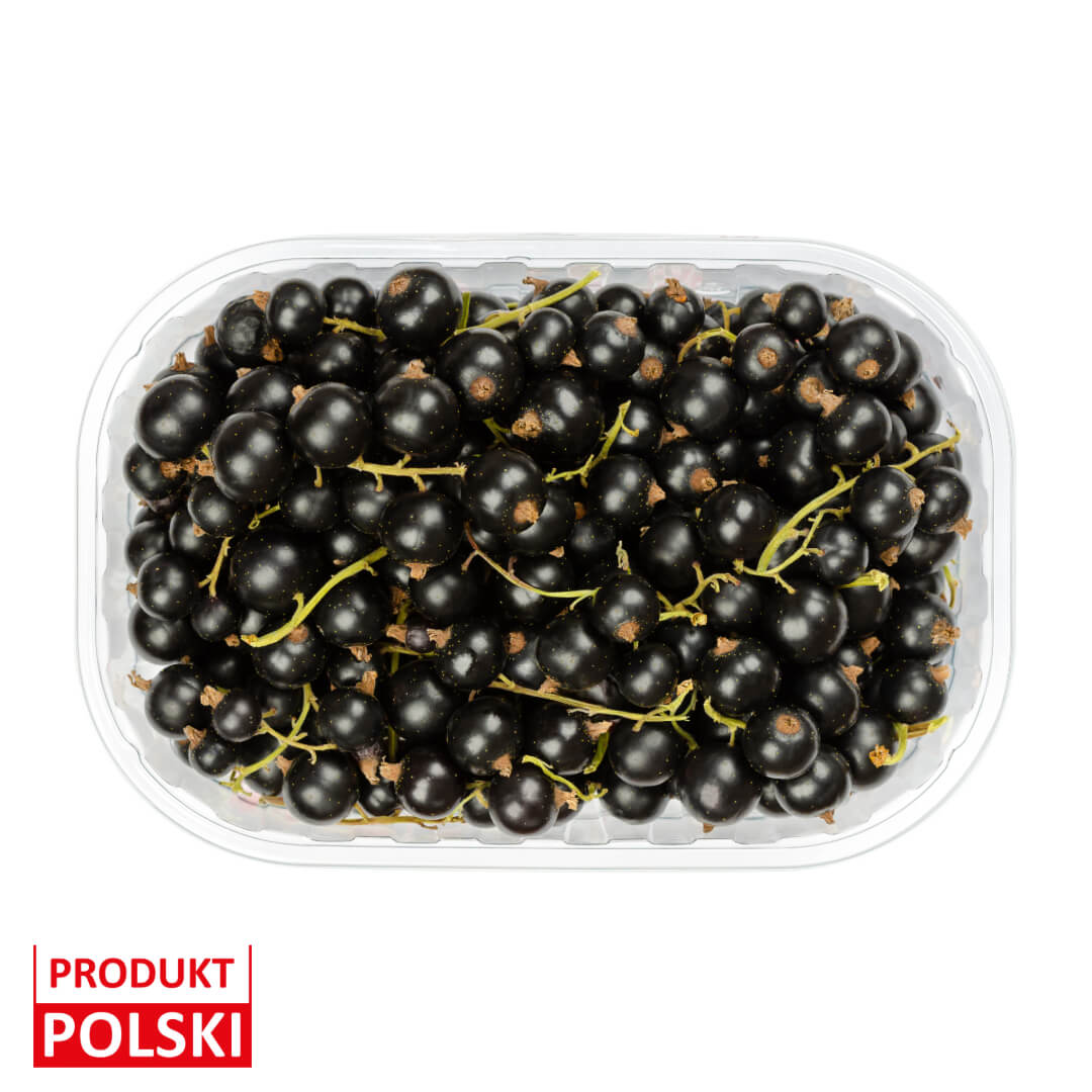 Porzeczka czarna - opakowanie 250g. 7,90 zl/opak.